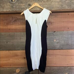Elegant Black and White Women's Dress